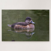 Ring-Necked Duck Puzzle (Horizontal)
