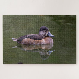 Ring-Necked Duck Puzzle