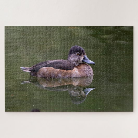 Ring-Necked Duck Puzzle (Horizontal)