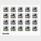 Ring Necked Duck Quadratischer Aufkleber (Blatt)