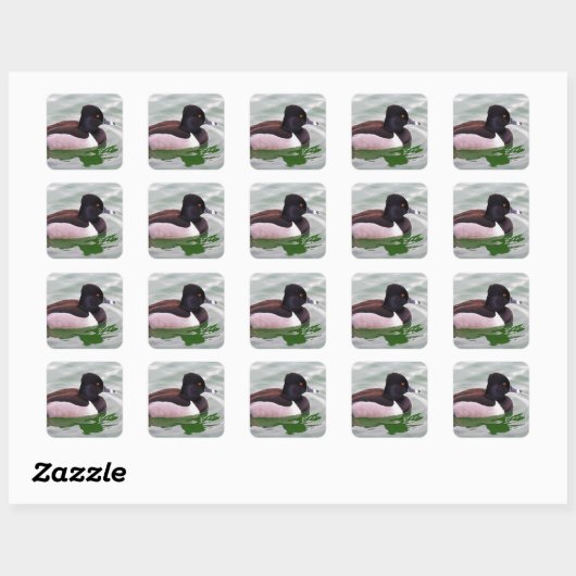 Ring Necked Duck Quadratischer Aufkleber (Blatt)