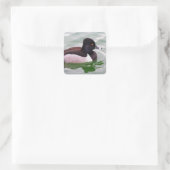 Ring Necked Duck Quadratischer Aufkleber (Tasche)