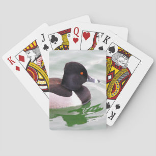 Ring Necked Duck Spielkarten