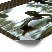 Ring Necked Ducked Poster (Ecke)