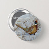 Ring-necked Fasan B22 Button (Vorne & Hinten)