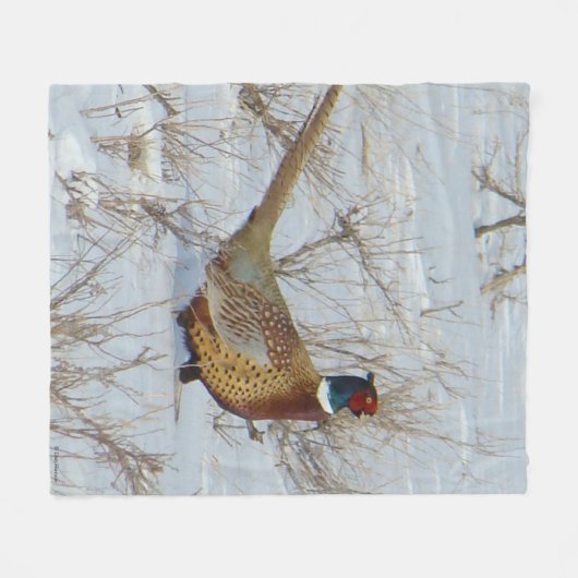 Ring-necked Fasan B22 im Schnee Fleecedecke (Vorderseite (Horizontal))