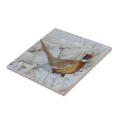 Ring-necked Fasan B22 im Schnee Fliese (Seite)