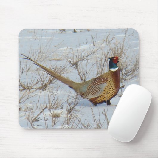 Ring-necked Fasan B22 im Schnee Mousepad (Mit Mouse)