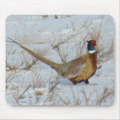 Ring-necked Fasan B22 im Schnee Mousepad (Vorne)