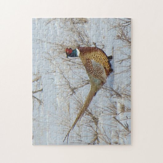 Ring-necked Fasan B22 Puzzle (Vertikal)