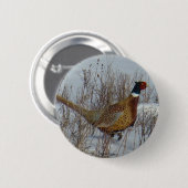 Ring-necked Fasan B23. Button (Vorne & Hinten)