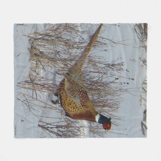 Ring-necked Fasan B23 im Schnee Fleecedecke (Vorderseite (Horizontal))