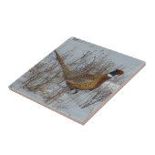 Ring-necked Fasan B23 im Schnee Fliese (Seite)