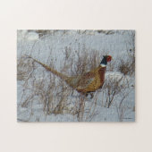 Ring-necked Fasan B23 Puzzle (Horizontal)