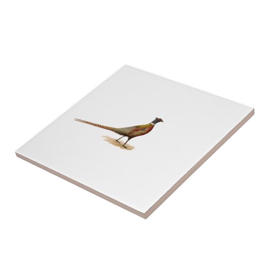 Ring-necked Fasan Fliese (Seite)