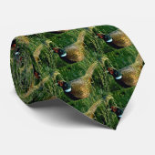 Ring-necked Fasan Krawatte (Gerollt)