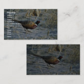 Ring-necked Fasan Visitenkarte (Vorne/Hinten)