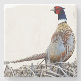 Ring-necked Pheasant Photo Stone Trivet Steinuntersetzer