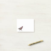 Ring Necked Pheasant Post-it Klebezettel (Auf Schreibtisch)