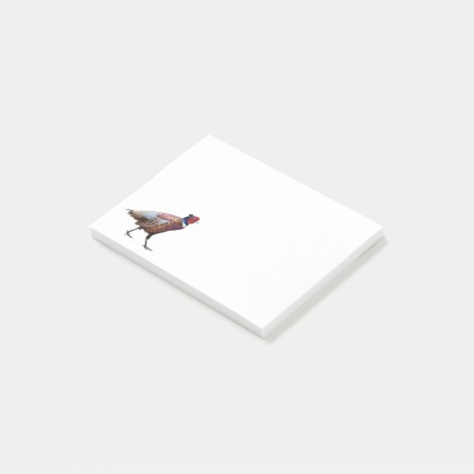 Ring Necked Pheasant Post-it Klebezettel (angewinkelt)