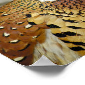 Ring Necked Pheasant Poster (Ecke)