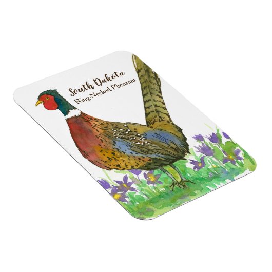 Ring Necked Pheasant Prairie Pasque Blume Custom Magnet (Rechte Seite)