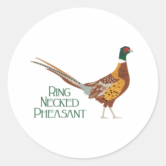Ring Necked Pheasant Runder Aufkleber (Vorderseite)