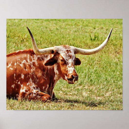 Ring Nose Texas Longhorn Kuh Fotokunst Poster (Vorne)