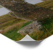 Ring of Brodgar Poster (Ecke)
