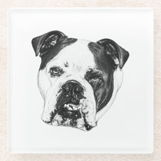 Ring-Safe Bulldog-Untersetzer Glasuntersetzer (Vorderseite)