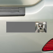 Ring-Schwanz Lemur Autoaufkleber (Auf Auto)