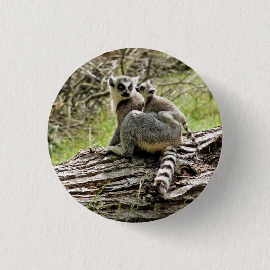 RING-TAED LEMUR BUTTON (Vorderseite)