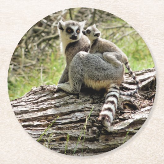 RING-TAED LEMUR RUNDER PAPPUNTERSETZER (Vorderseite)