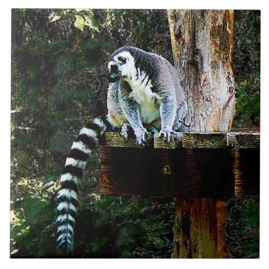 Ring-Tail Lemur Fliese (Vorderseite)