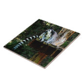 Ring-Tail Lemur Fliese (Seite)