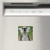 Ring-Tail Lemur Magnet (In Situ (Geschirrspüler))