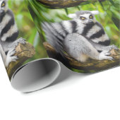 Ring-tailed lemur geschenkpapier (Rolleneckpunkt)