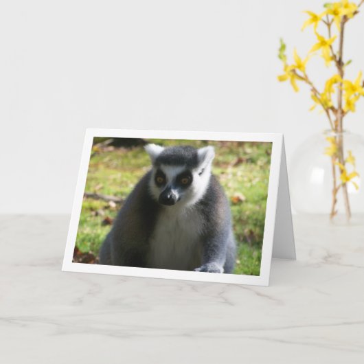 Ring-tailed Lemur Karte (Gelbe Blume)