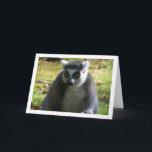 Ring-tailed Lemur Karte<br><div class="desc">Ring-tailed lemur Greeting Card. You can easily customize this product for free if you would like to add wording or change the color of the background.</div>