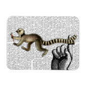 Ring Tails Lemur auf Finger 2 Magnet (Horizontal)