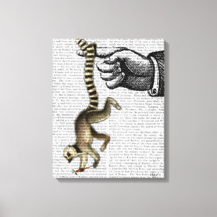 Ring Tails Lemur auf Finger Leinwanddruck