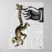 Ring Tails Lemur auf Finger Poster (Vorne)