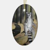 Ring Tails Lemur Drusillas Park Keramik Ornament (Links)