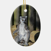 Ring Tails Lemur Drusillas Park Keramik Ornament (Hinten)