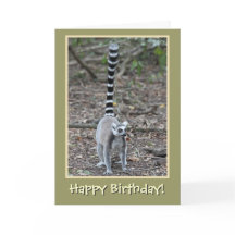 Ring-Tails Lemur Happy Birthday