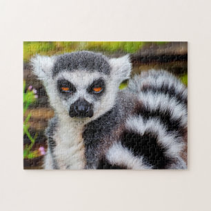 Ring Tails Lemur, Jigsaw Puzzle