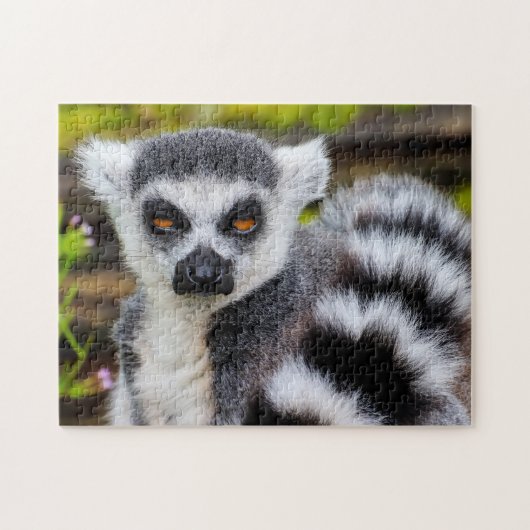 Ring Tails Lemur, Jigsaw Puzzle (Horizontal)