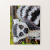 Ring Tails Lemur, Jigsaw Puzzle (Vertikal)
