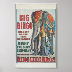 Ringbros Big Bingo, das Elefant Circus Poster