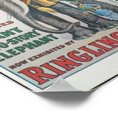 Ringbros Big Bingo, das Elefant Circus Poster (Ecke)